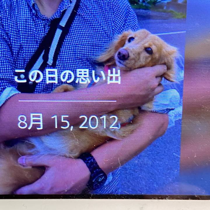 2940423e 3348 4aef 8537 f1a18e90a3ff 1597481609935