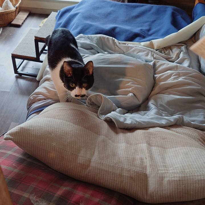 2940436d 8188 421d b31b a87e14246599 1759313679958