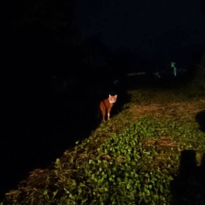 29408a55 472f 4d41 b42a df247e23633a 1601114519872