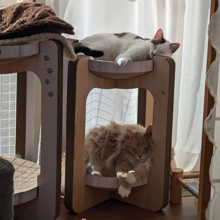 2940b330 a039 4f14 9c62 2455a55f395a 1730605053462