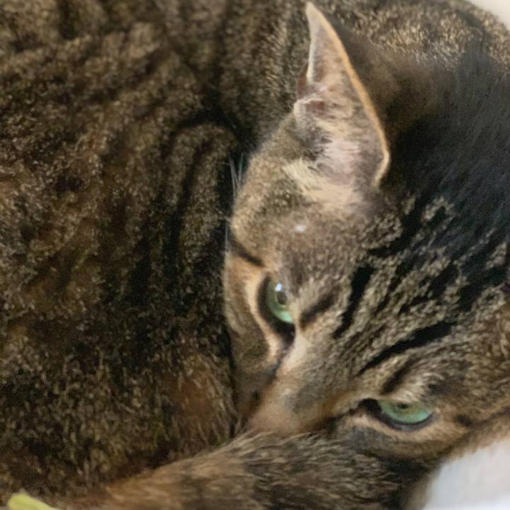 2940d1cb 46e6 4fd7 8979 2969c2a6acdc 1557623645962