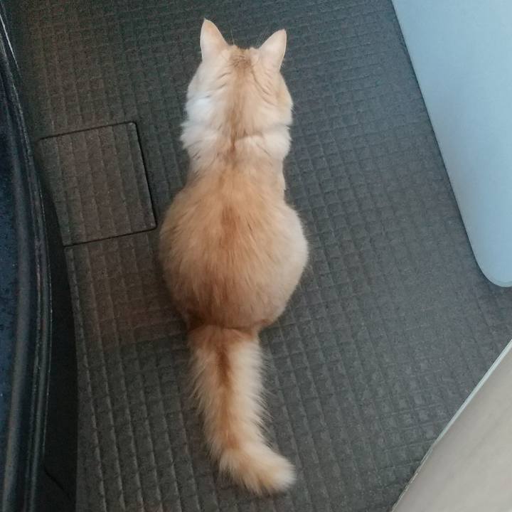 2940dbbb da9d 466f 92ab 07328414c163 1637716266480