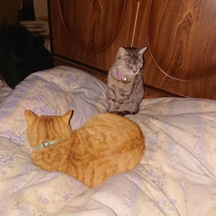 2940ee2e 8b12 4e97 b208 24051bed8ce2 1582140611125