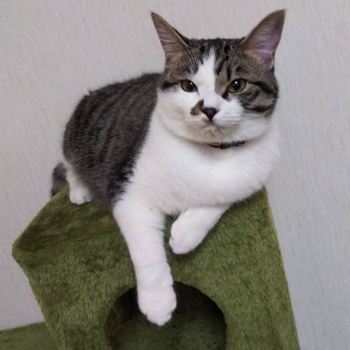 2940ef33 0bae 40ed a494 b2e58107ada1 1622066620389