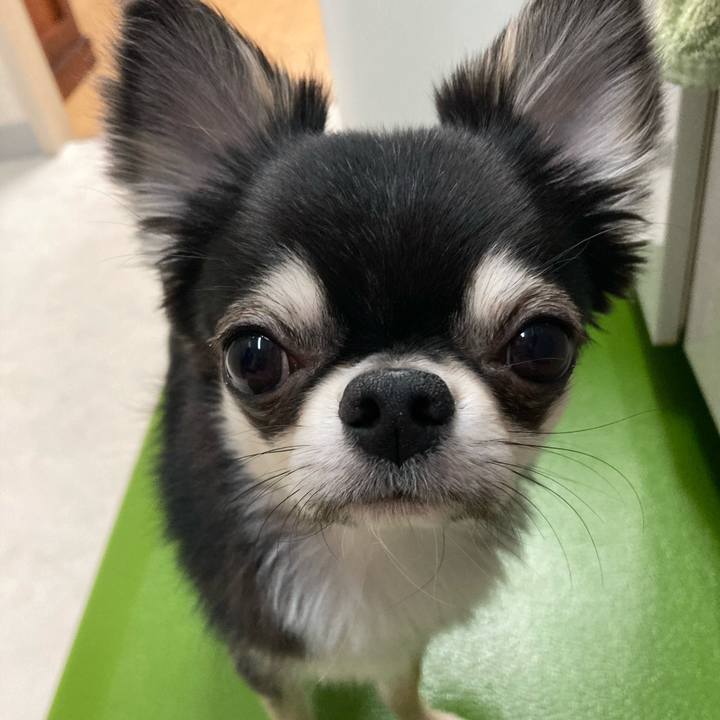 2940f658 8131 400a b89a ae36774c4816 1618753405993