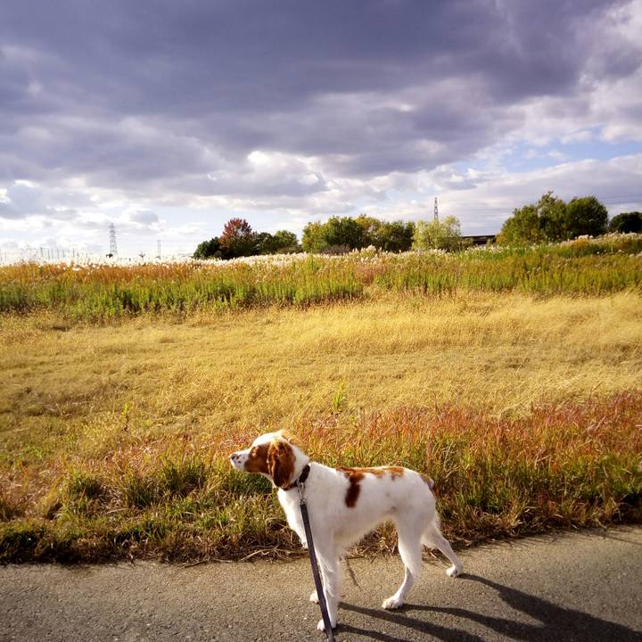 294101fc 0050 47d4 9e18 54a156cf74ca 1511080392322