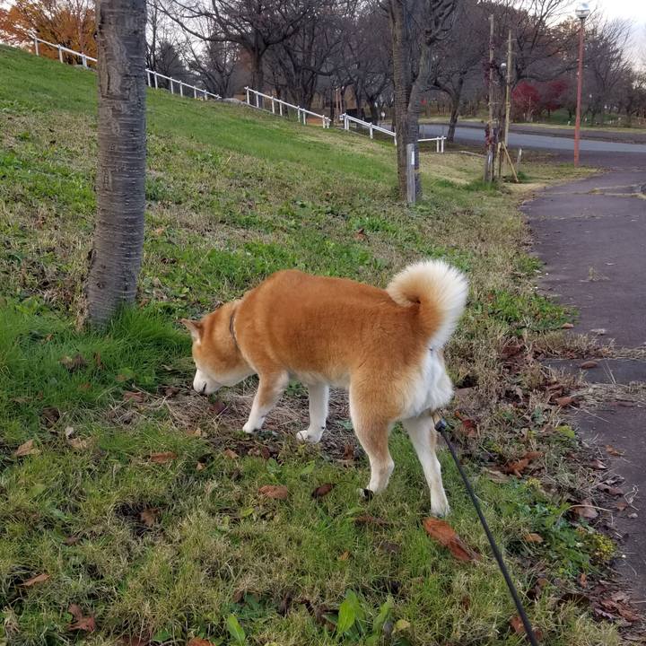 29410c05 cc51 4b70 82df 2a490c24879c 1668409125280