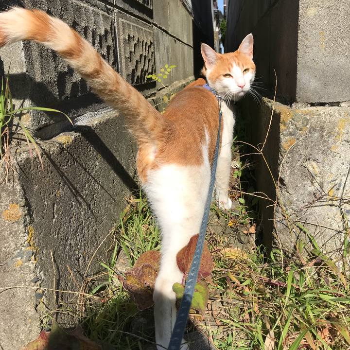 29412162 8955 420d 8bdf 6a847c9393f3 1510282174663