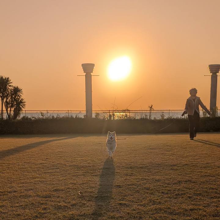 29412e48 0426 40de bfdc c3c66e8d8063 1765104454353