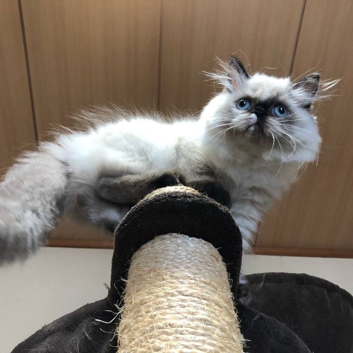 29414a23 8010 4a16 aa6a 7c0a4b5fee87 1631436431178