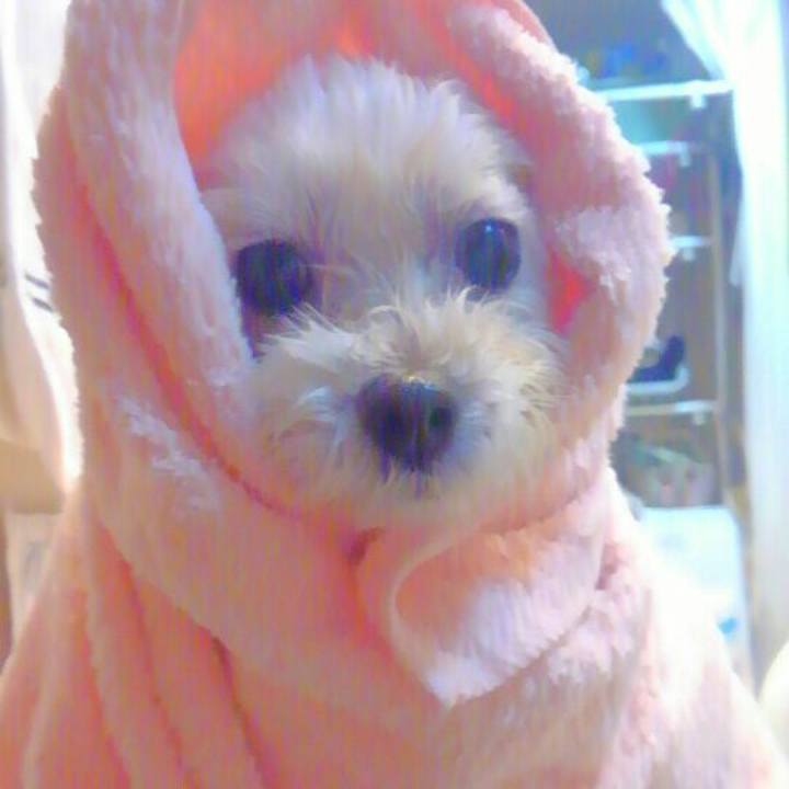 2941a4ca bec1 4f1c a306 09a81fe11d74 1546566854934