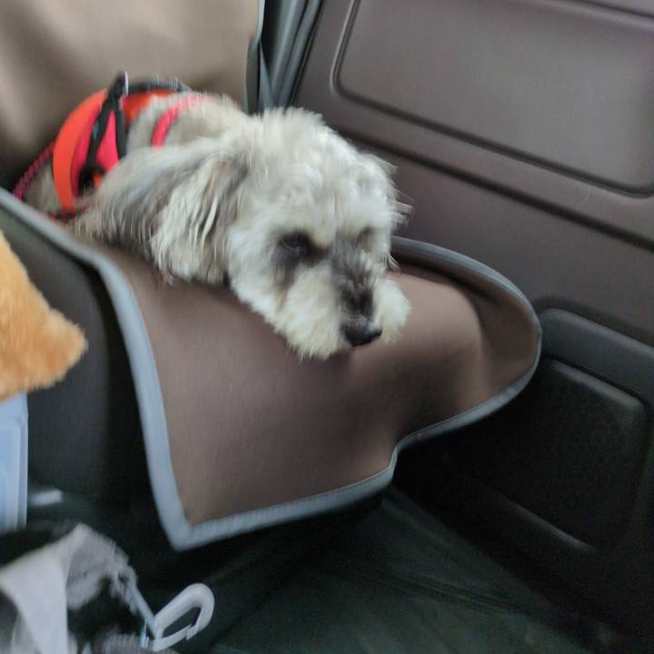 2941b60b 28eb 43de a0ef 6667aa67bc35 1747471142212