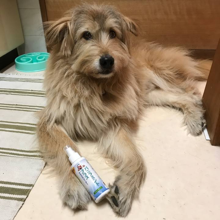 2941c4ff 1cfc 4c49 95fd 97eea638d433 1550874346249