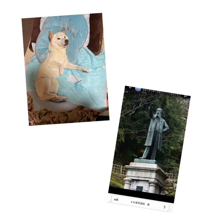 2941d384 f5a9 428d 89ec 213136a2fc28 1660751228107