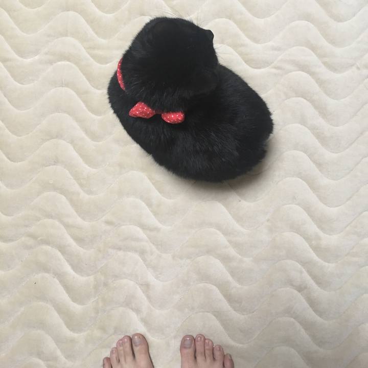 2941db43 a384 4a9f 9723 7a1676ec1242 1545901952854