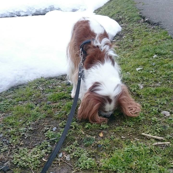 2941ec3e e1e8 4d8e 8fe6 51b17de1a2e9 1549433651836