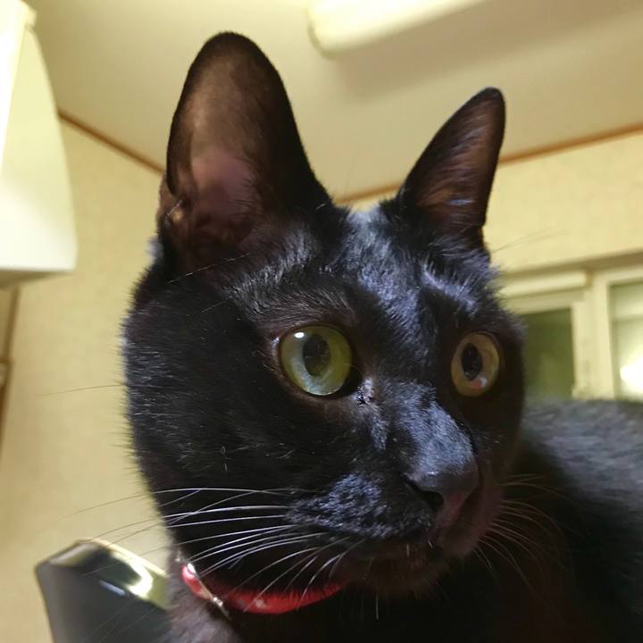 2941f301 893d 4c61 bda9 372a404aa820 1524315064468