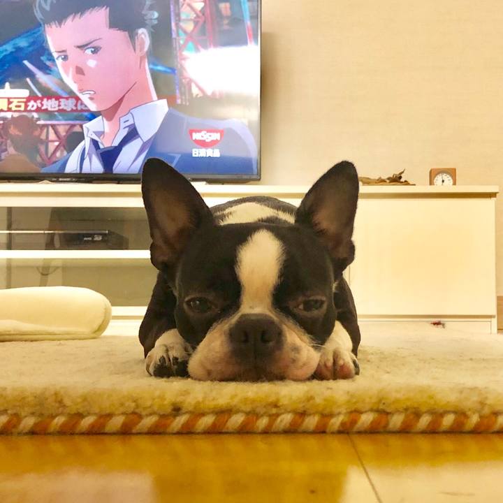 2941ff5b af75 4b27 9106 cf5c23566190 1519633897916