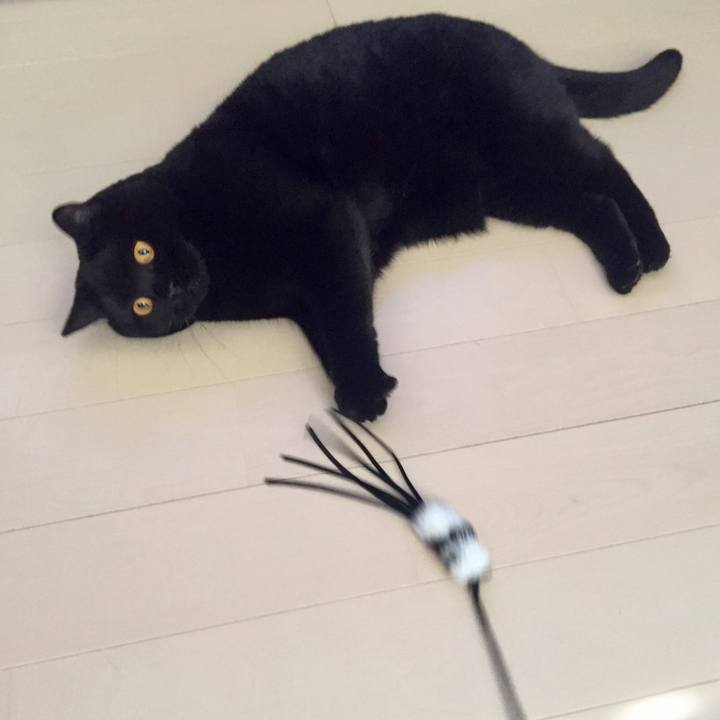 29420852 040c 4cd7 a7a9 083d290400c0 1554004134140