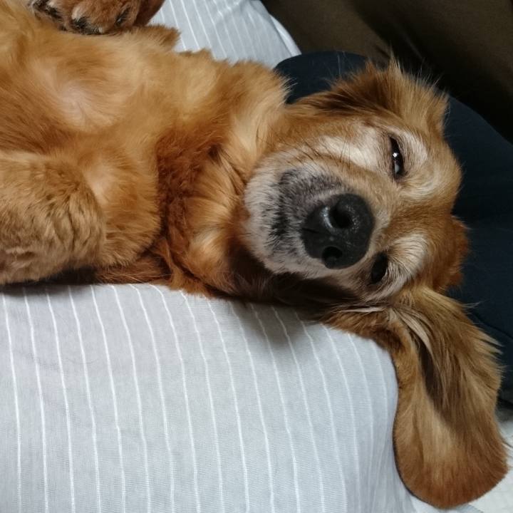 294209ad 12f3 4261 8dca 81662f1e9a76 1625242645389