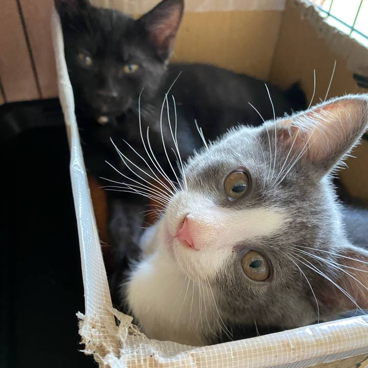 29421254 9891 4082 bd4a 753c4a94f25e 1751696155196