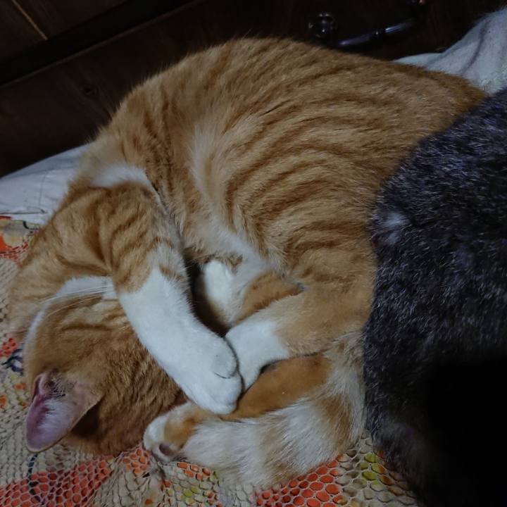 294237bc 8b8b 4643 ba93 767e2d257afd 1572787232665