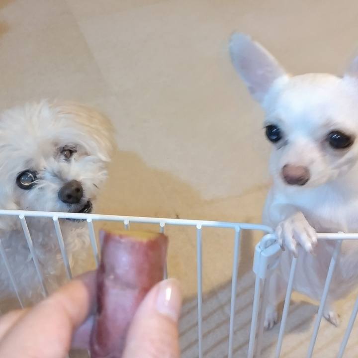 29424485 e0fa 47b6 a9db 4a8428ace7ed 1722927087690