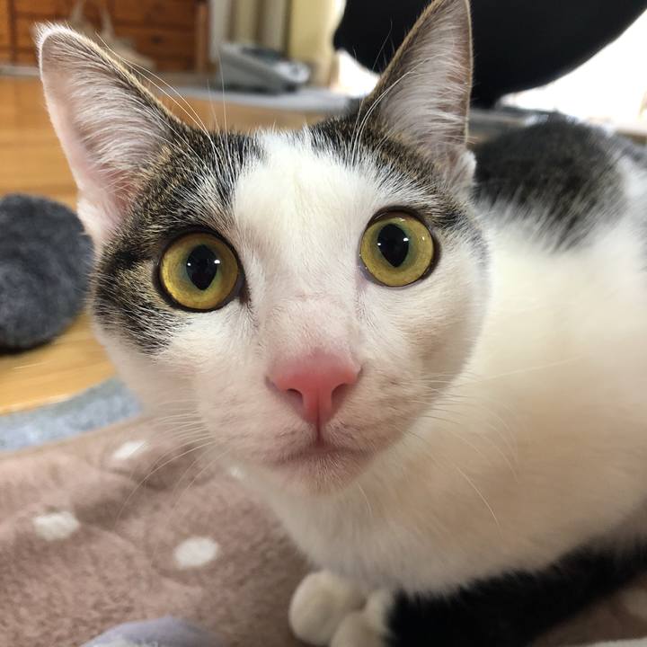 29424af0 1dd3 4d63 840b 8882efa4fc2a 1581119974558