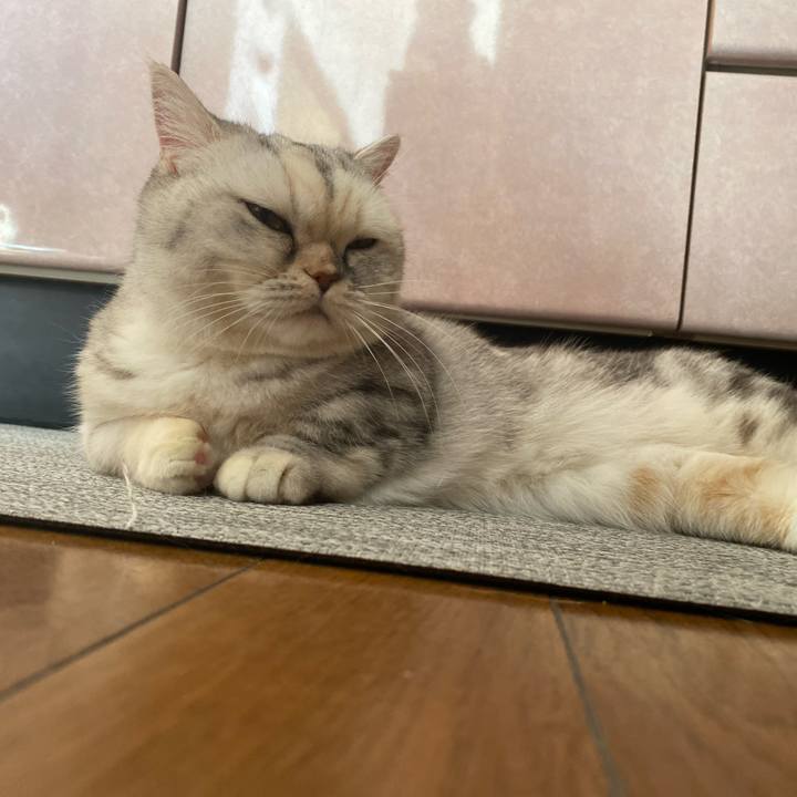 294273fa 69d5 45f8 b9ac a29a9fa60a89 1764889167608