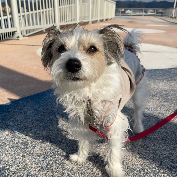 2942a662 e165 42b9 ae91 e6c9f763bb05 1768874817396