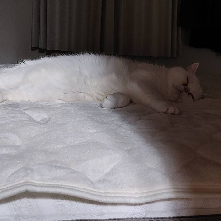 29430a8c 0f9e 40f3 84e4 53655168a382 1637936202945