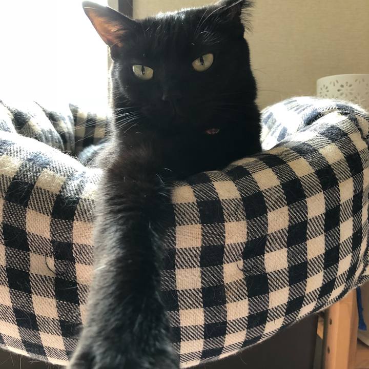 29431c8c 216c 493d 9ce9 8514dbdca8d2 1529719278217