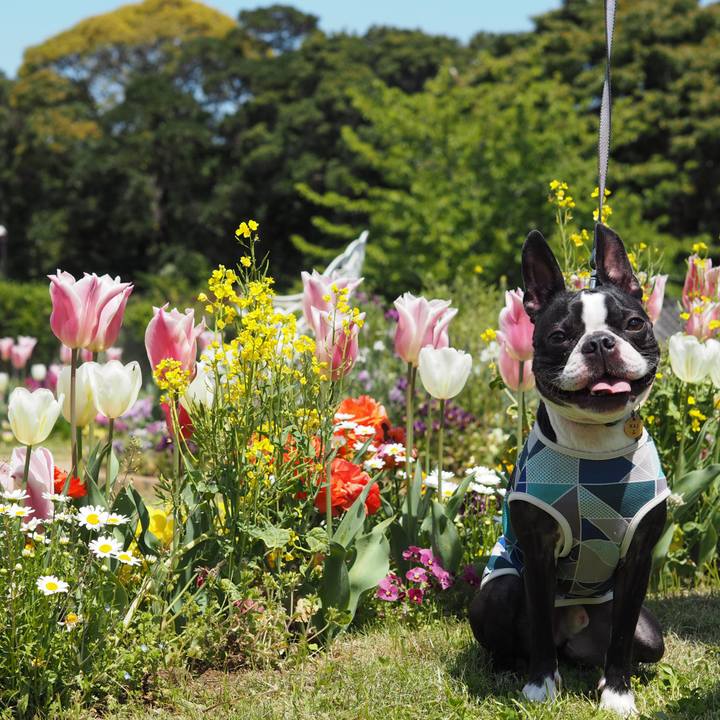 2943387d af4b 4a7d 876d 90433c315b46 1618024864596