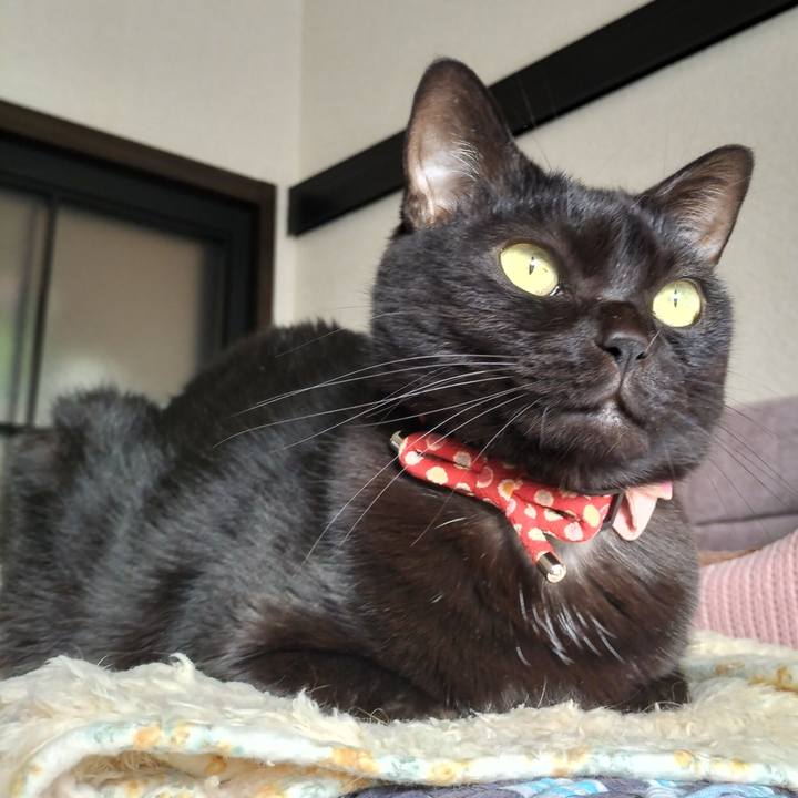 29433be9 0ab8 48d4 9b5b 753fa2c340b7 1634787997489