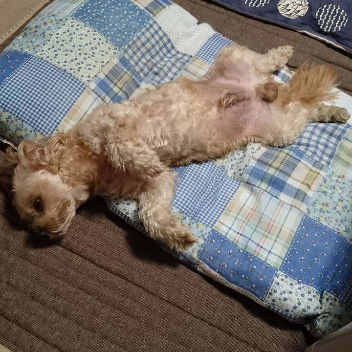 29435037 326f 4657 9102 05a2c4da8b36 1568643350733