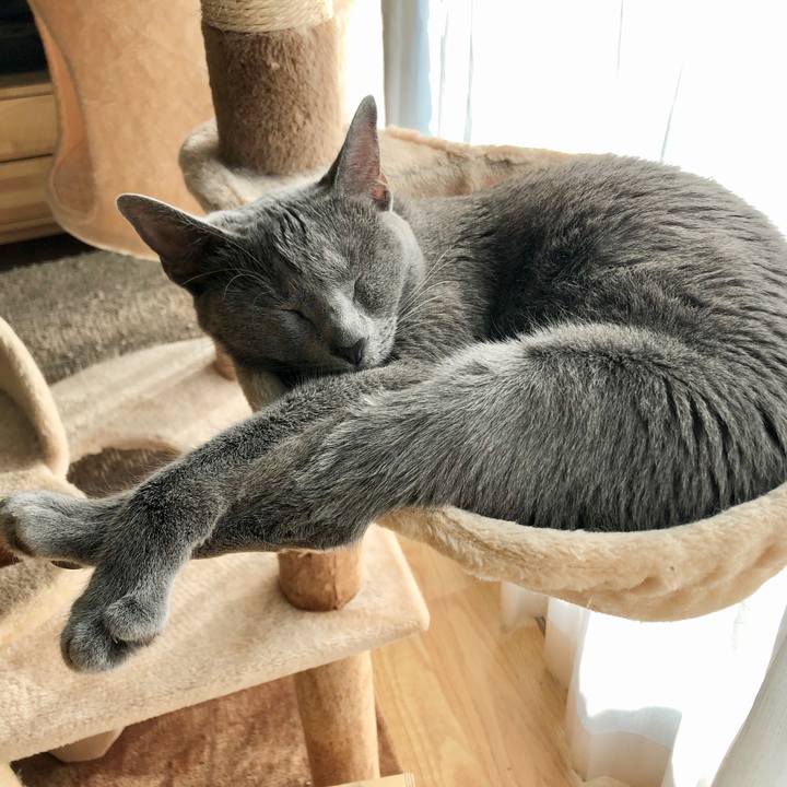 29435285 c249 448c b9a1 5b63d274b5b7 1592008646870