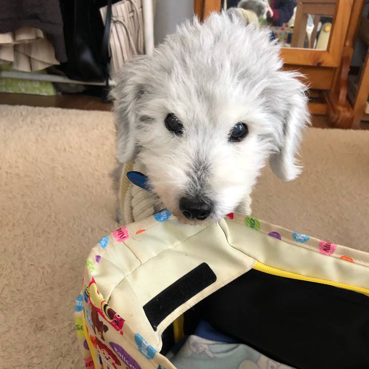 294354f9 69cc 49cf ba66 185e18d4f802 1642833101587