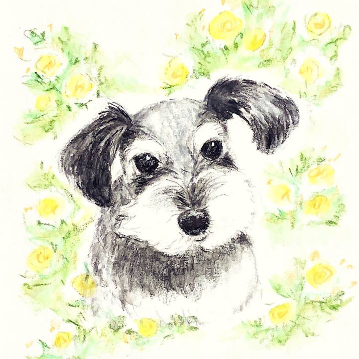 29437046 a5da 4409 a199 f6804555dc7b 1655723769870