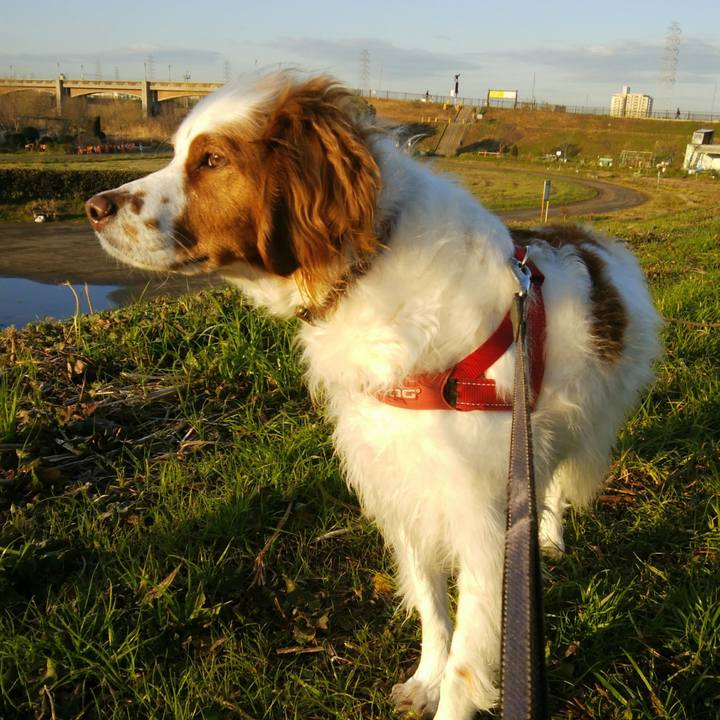 29439998 eb21 4bd5 837c d1048a062613 1552002844438