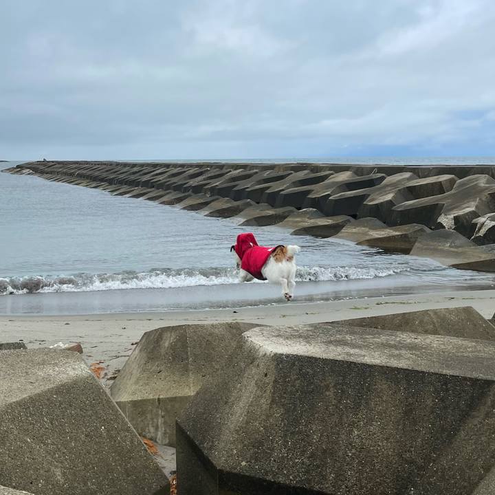 2943af24 b0b0 4baf 9a7d 7755b5ac9b4f 1621293412840