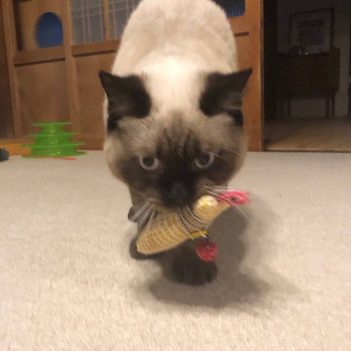 2943b0aa b654 4f34 9a31 4937884fe1b7 1600477268824