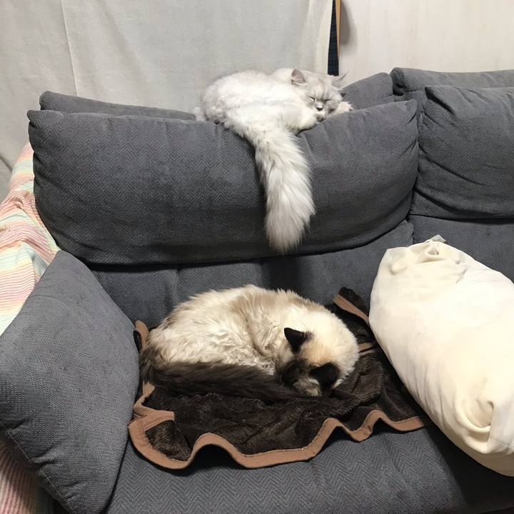 2943b872 3c4f 42ff bbe4 d35fb3cde0e0 1634976585720