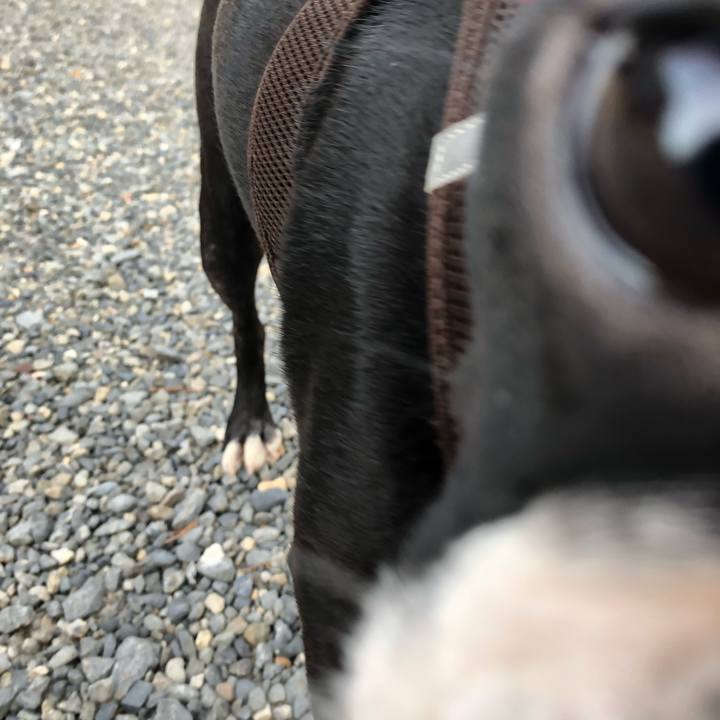 2943bfaa 0b95 4e6e 950c 5cf445f0fb30 1534544803008