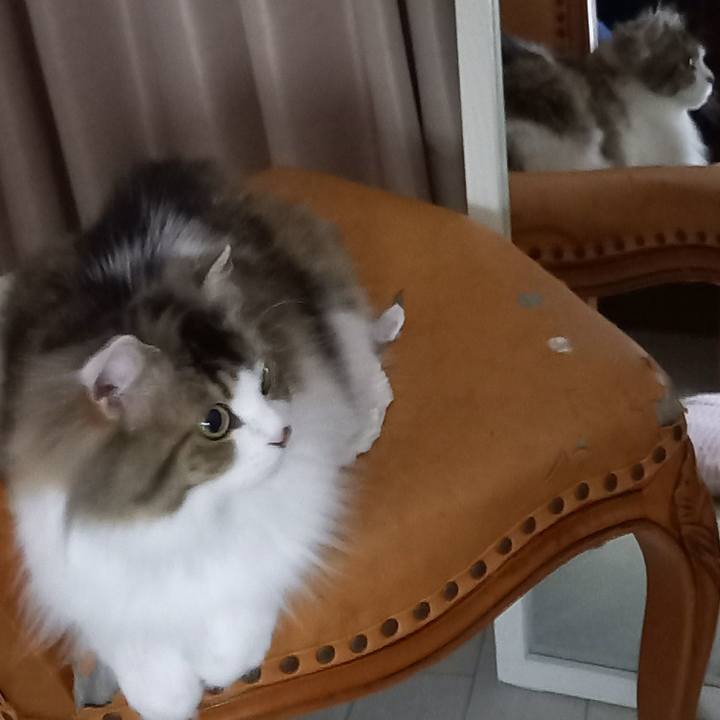 29441914 d7f3 4db0 a9e8 e59229fd38e9 1624272875998