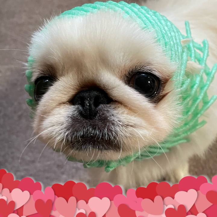 29443ec3 b65e 4a74 9339 8c16d9a77661 1655947154877