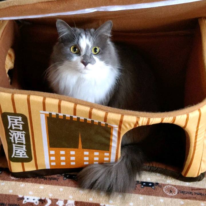 29450b9a 44a7 4462 ae2f 928af46d59b7 1612049119964