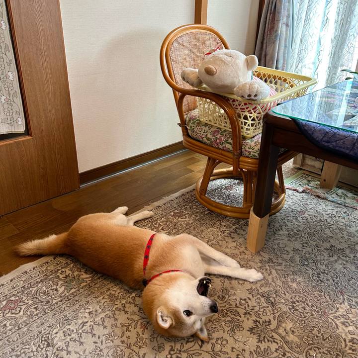 29452cbf a46f 4791 a122 cbd9fa60ce31 1754471021602