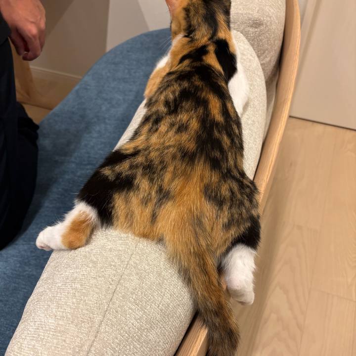 29454482 9cd3 412b ac17 8f737ddcf6c8 1759396795377