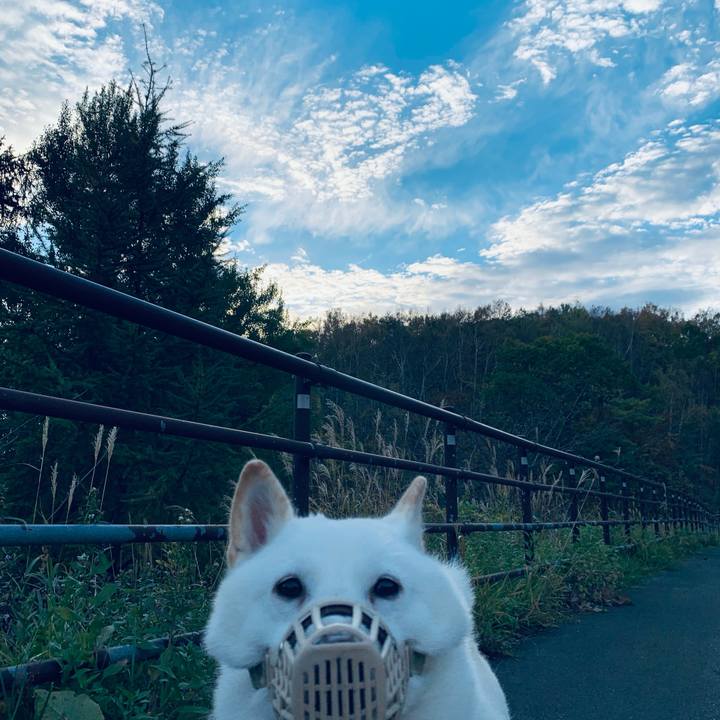 29455753 3b8e 401f 8f27 1ce7d9a0088d 1603319999562