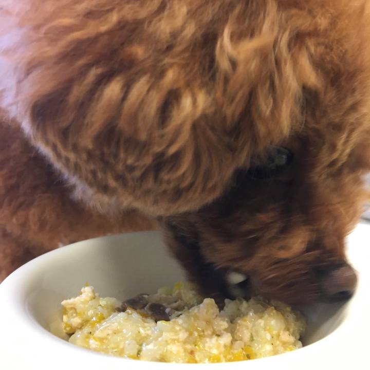 294570f4 3d1f 44f2 81f9 aaa9ee62ed36 1537400921030